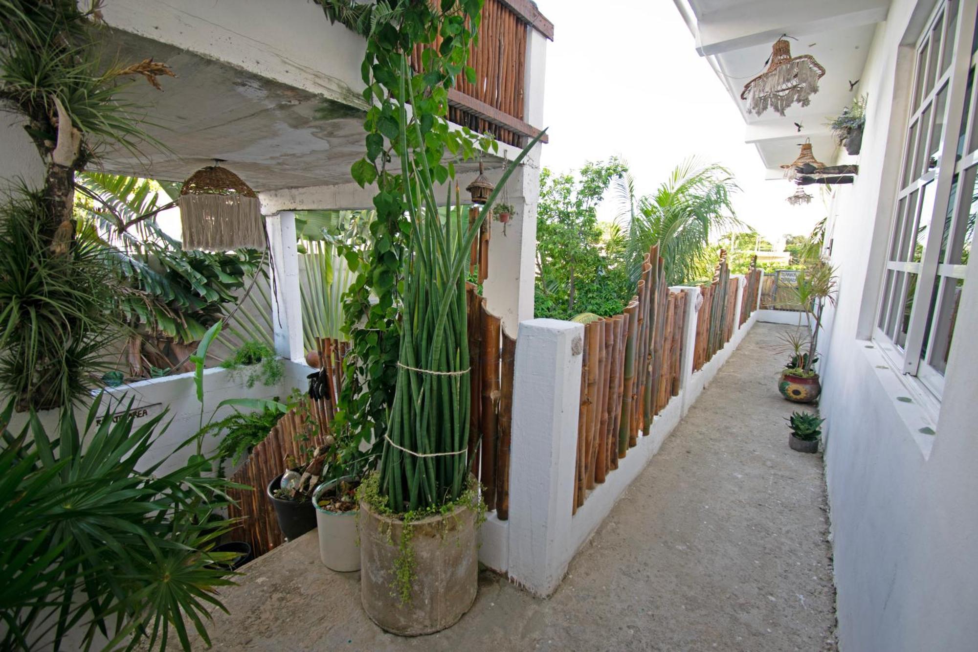 Casa Nomis Cancun Luaran gambar